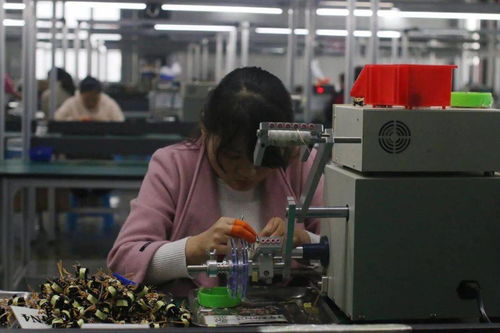 王宏兵赴武功县调研督导“止滑促升、决战收官”工作 助力电子材料生产发展